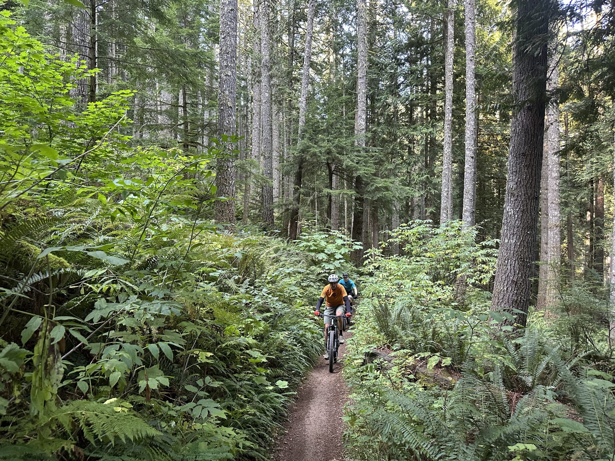 A Day on Seattle's Trails