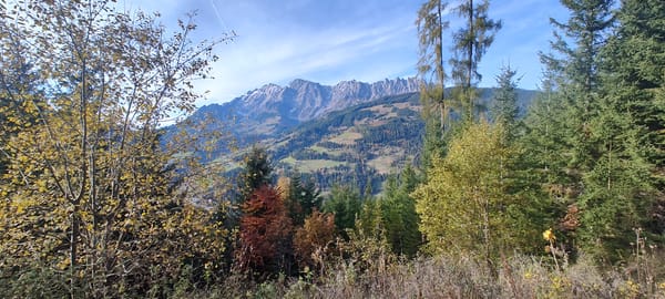 When life gets in the way of training